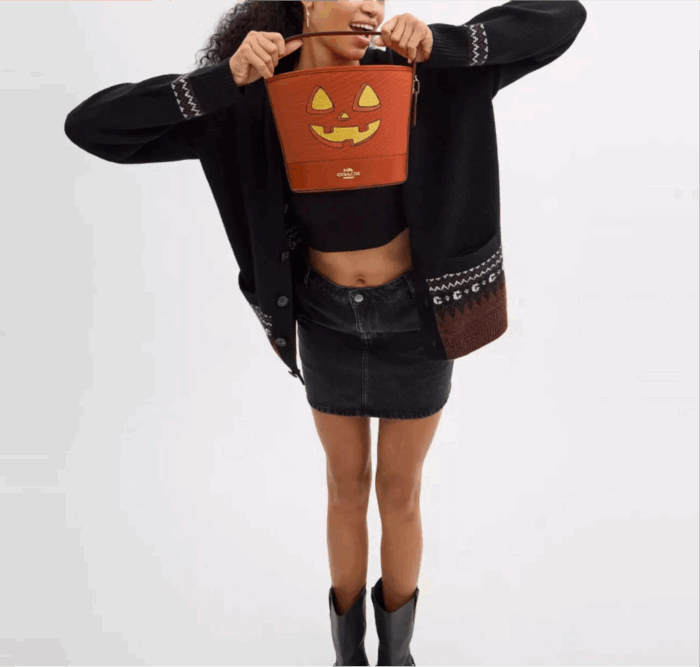 NWT Coach Trick Or Treat Bucket With Halloween Pumpkin - Image 3