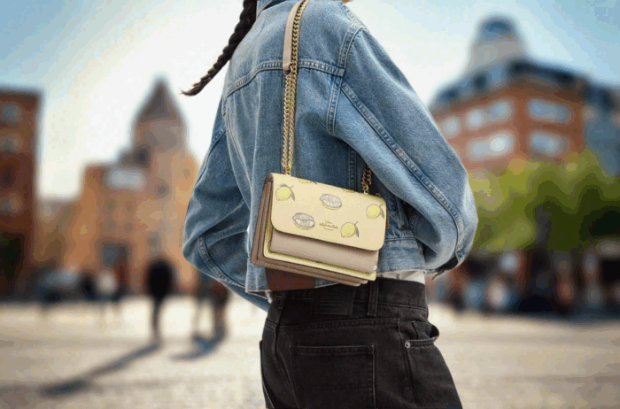 NWT Coach Mini Klare Crossbody Bag With Lemon Print - Image 4