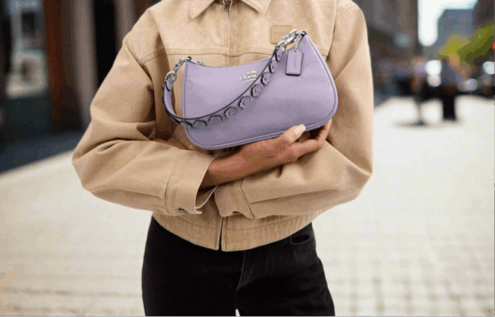 NWT Coach Teri Shoulder Bag with Floral Appliqu?? - Image 3