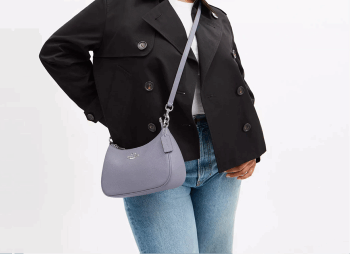 NWT Coach Leather Teri Shoulder Bag In Silver/Mist - Image 3