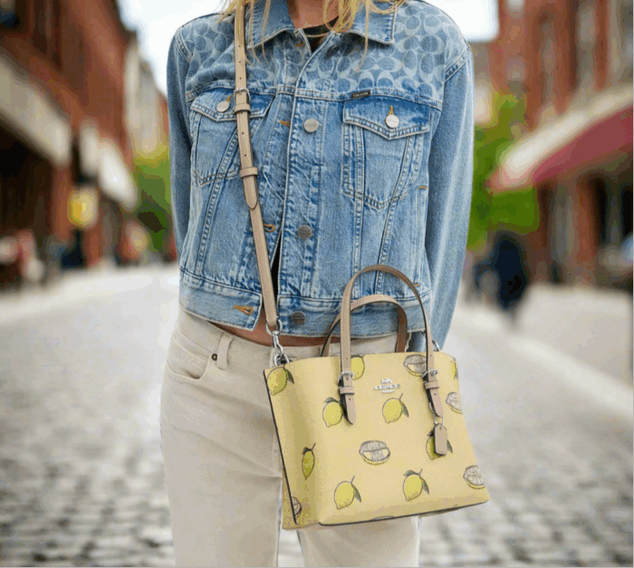 NWT Coach Mollie Tote Bag 25 With Lemon Print - Image 2