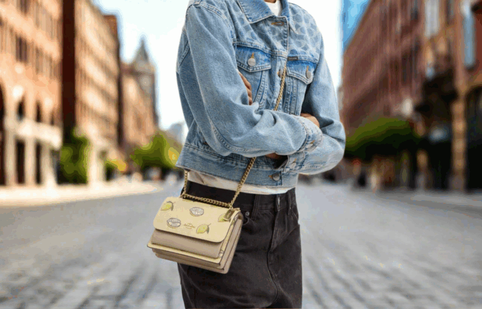 NWT Coach Mini Klare Crossbody Bag With Lemon Print - Image 3