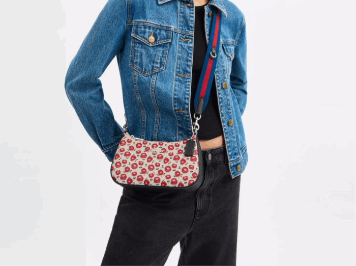 NWT Coach Teri Shoulder Bag With Floral Print In Silver/Chalk/Black Multi - Image 3