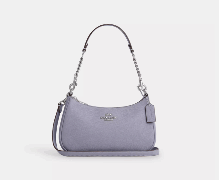 NWT Coach Leather Teri Shoulder Bag In Silver/Mist